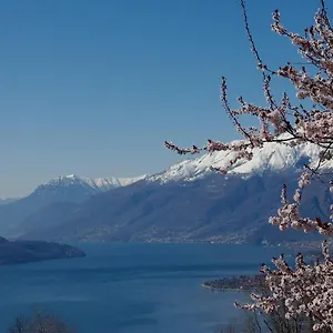 https://hotel-tamola.it-lombardy.com